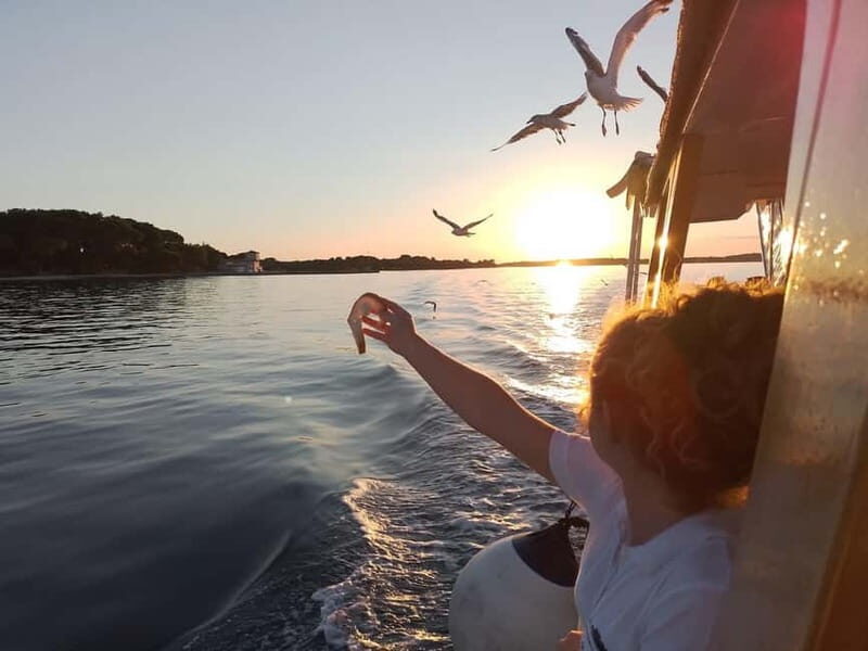 Pula: Brijuni National Park Dolphin Watching Tour w/Dinner - What To Keep in Mind