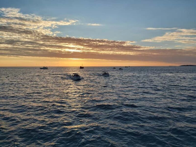 Pula: Dolphin Sunset Cruise to Brijuni with Dinner & Drinks - An Authentic Coastal Adventure