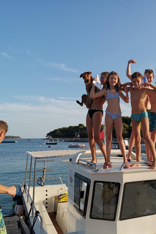 Pula Dolphin Watching Boat Trip - Final Thoughts