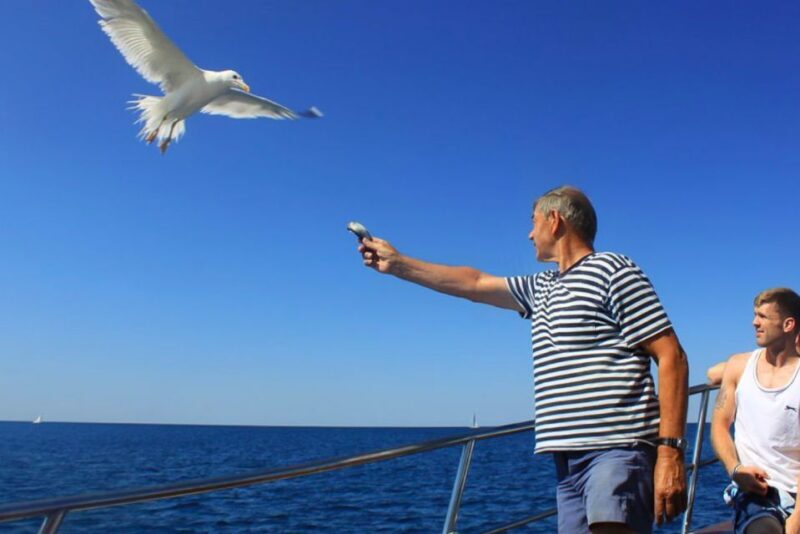Pula: Dolphin Watching Sunset Cruise with Dinner & Drinks - Authentic Traveler Feedback
