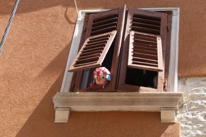 Pula: Historic Walking Tour with Local Guide & City Views - Key Points