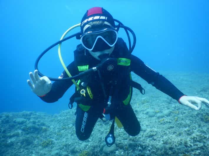 Pula: Introduction to Scuba Diving for Kids (age 8-10) - Instructor and Language Support