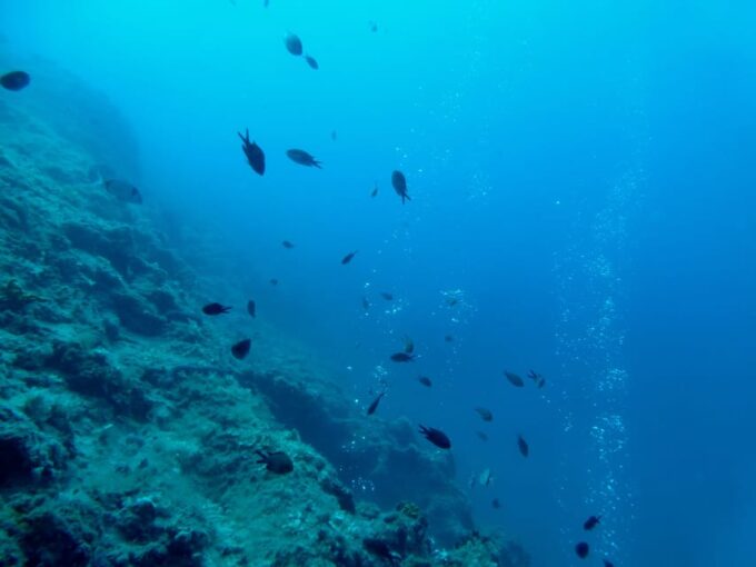 Pula: Introduction to Scuba Diving - Dive Depth and Duration
