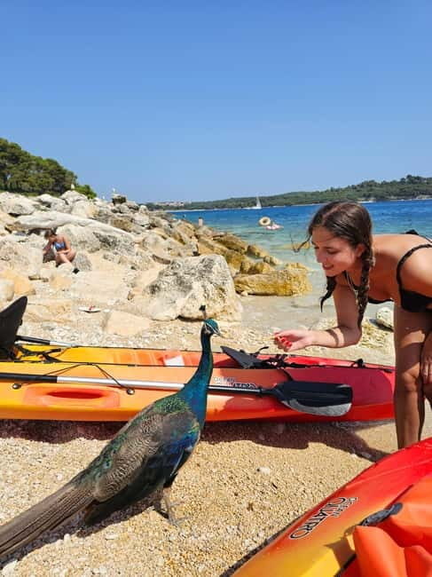 Pula: Kayak Tour to Island St. Jerolim and Kozada - Pula: Kayak Tour to Island St. Jerolim and Kozada — A Detailed Look