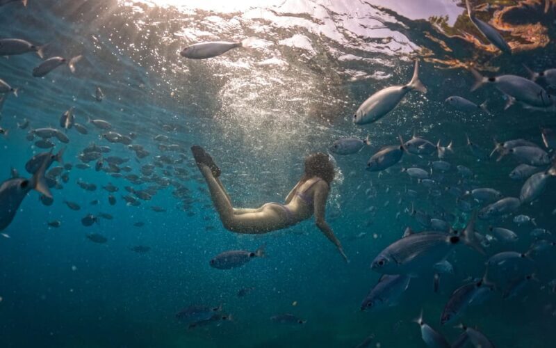 Pula: Kayaking,Snorkeling, Cliff jumping Tour with Wetsuit - FAQs