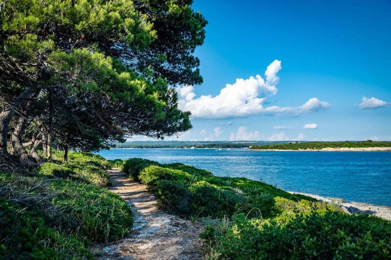 Pula: National Park Brijuni Cruise with Lunch and Drinks - Pula: National Park Brijuni Cruise with Lunch and Drinks – A Practical Review
