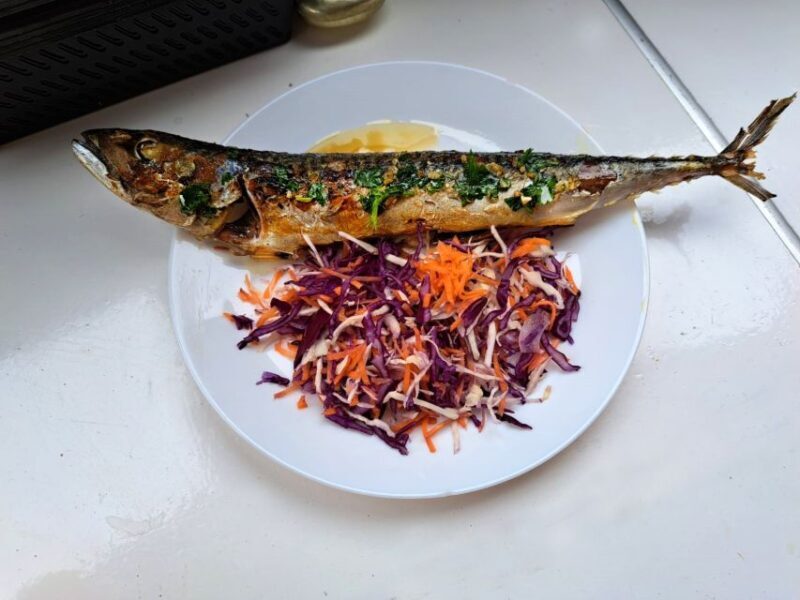 Pula: National Park Brijuni Island Visit & Dolphin Cruise - Real Travelers’ Perspectives