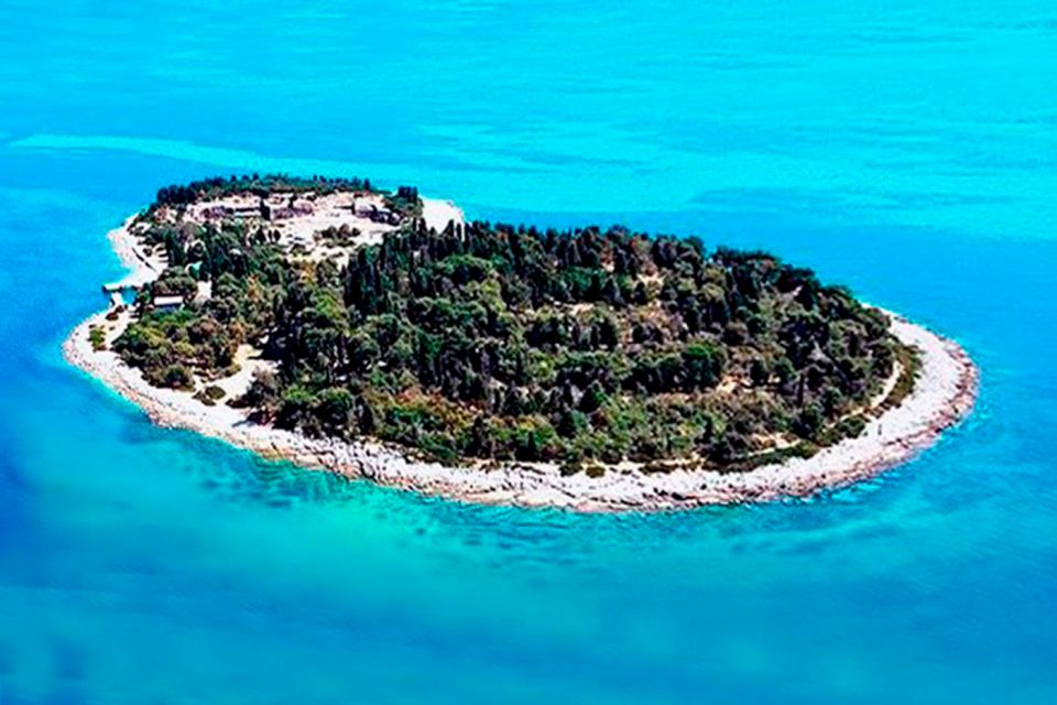 Pula: National Park Brijuni Island Visit & Dolphin Cruise - Dolphin Watching Experience
