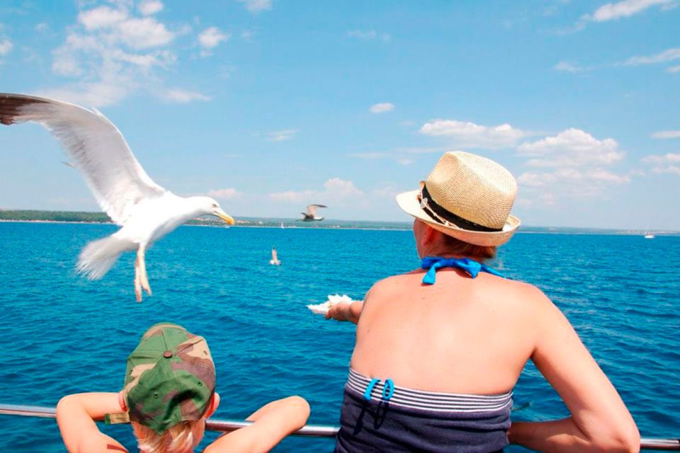Pula: National Park Brijuni Island Visit & Dolphin Cruise - Recap
