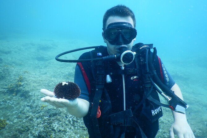 Pula PRIVATE Discover Scuba Diving - Detailed Overview of the Experience