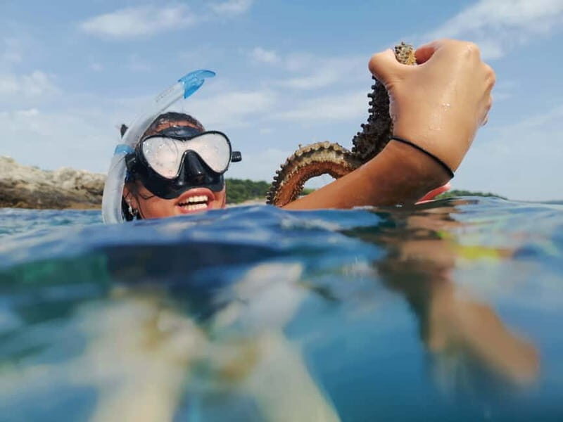 Pula: Sea Adventure  Boat, Kayak, Snorkeling & Cliff Jumps - A Detailed Look at the Experience