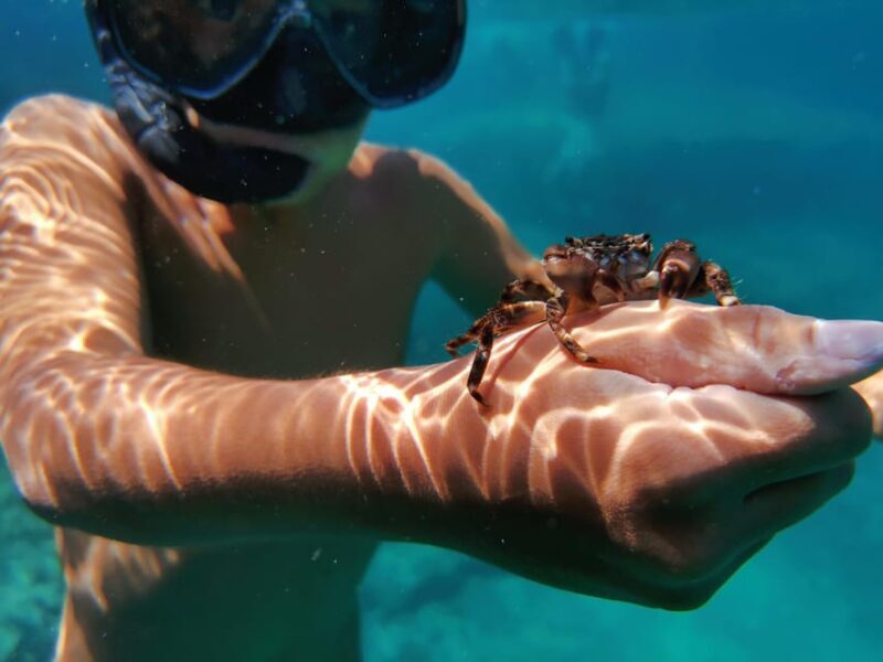 Pula Snorkeling Adventure Boat Trip - The Sum Up
