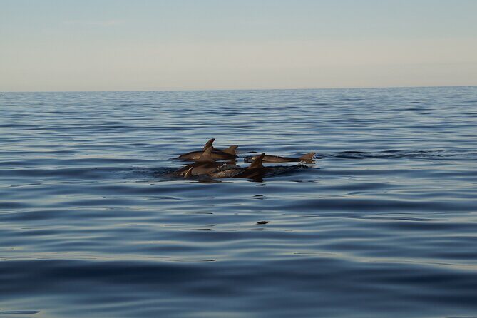 Pula Sunset Cruise: Brijuni Views, Drinks, Romance (Max 6 Guests) - FAQs