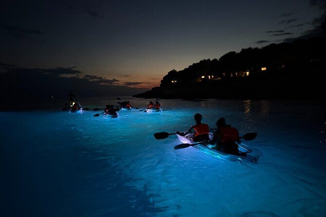 Pula: Sunset/Night-time Illuminated Transparent Kayak Tour - The Sum Up