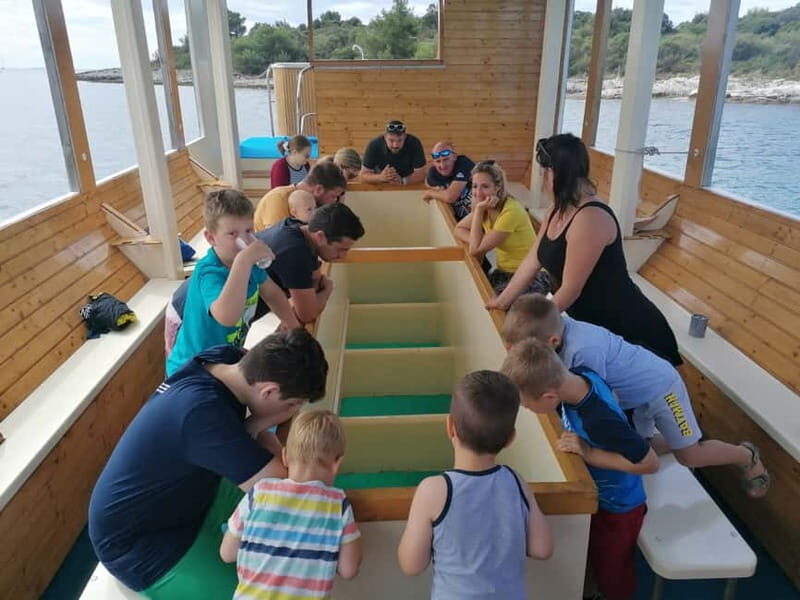 Pula Verudela: Glass-Bottom Boat and Swim with Fish Tour - Key Points  