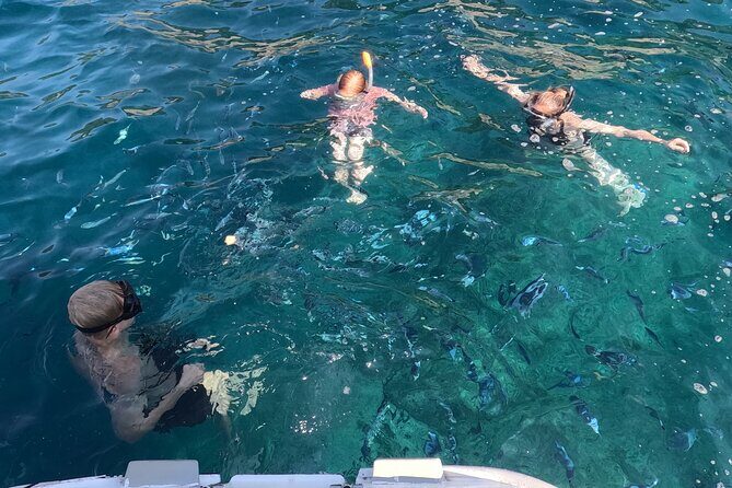 Pula: Your Custom Full-Day Private Sail - Explore Istria's Gems - What the Reviews Say