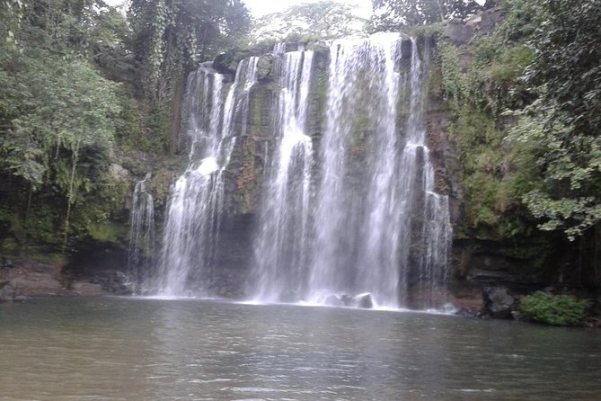 Pumas Rescue Center & Llanos Del Cortes Waterfall Swimming - Visiting the Pumas Rescue Center