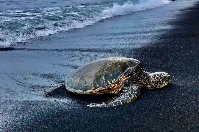 Punaluu Black Sand Beach Tour - Volcanoes National Park & Hilo - Visiting Hawaii Volcanoes National Park