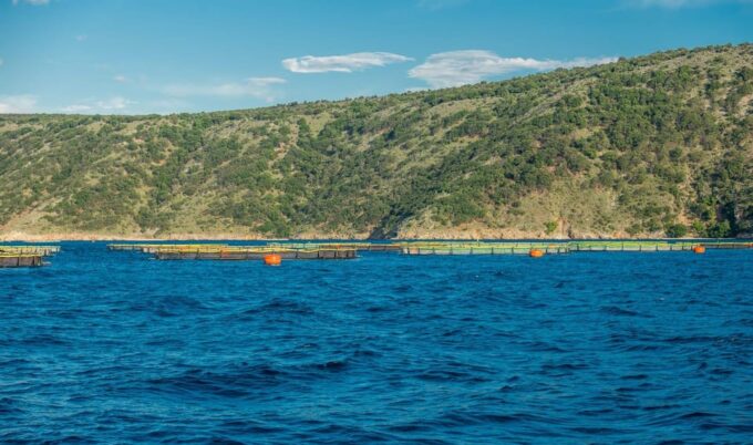 Punat, Cruise and Swim at Golden Beach and Blue Cave - Booking and Cancellation