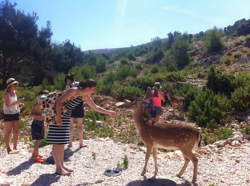 Punat: Grgur, Goli, Rab, and Krk Island Boat Trip with Lunch - A Closer Look at the Itinerary and Highlights