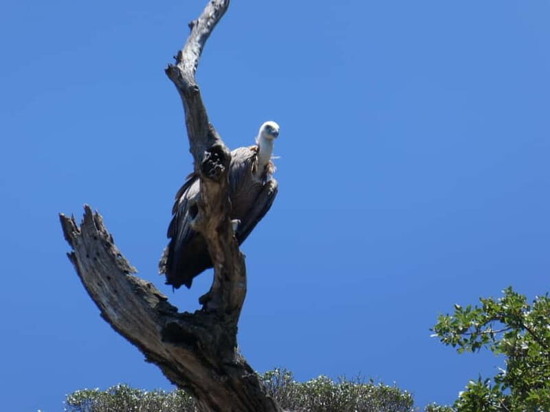 Punat: Stara Baka Wild Bays Private trip - Analyzing the Cost and Value