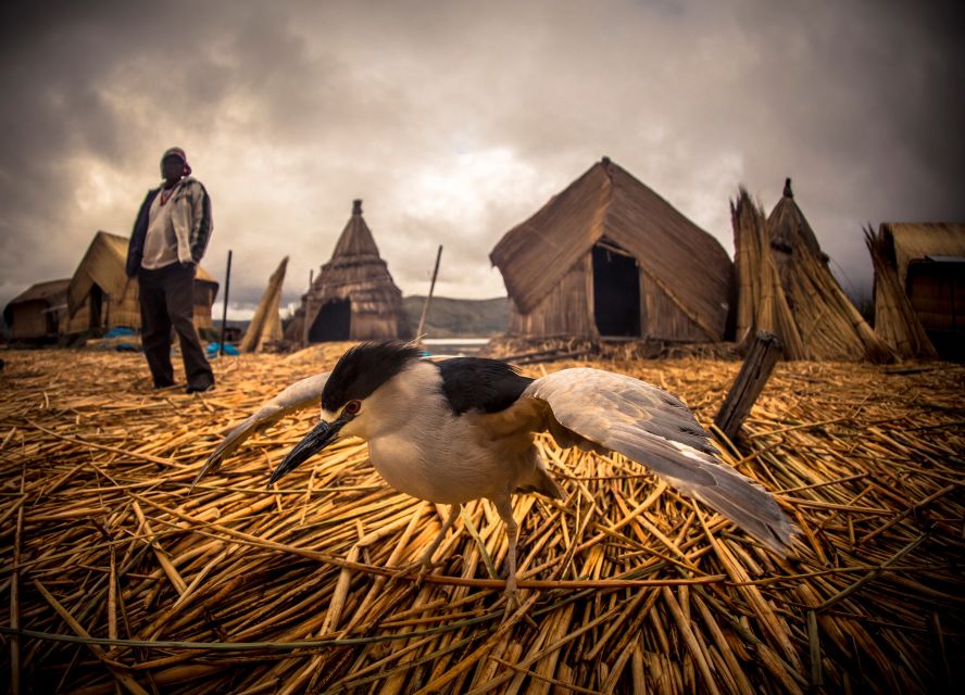 Puno: Uros and Taquile Islands Tour Including Lunch - Experience and Highlights
