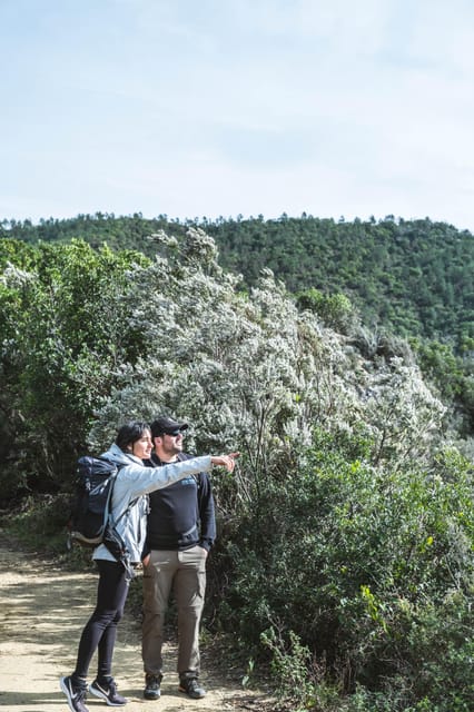 Punta Baffe: hiking immersed in the Mediterranean bush overlooking the sea - An in-depth look at the Punta Baffe hiking tour