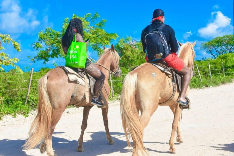 Punta Cana: 1 Hour of Horseback Riding With Hotel Pickup - Riding Experience Details