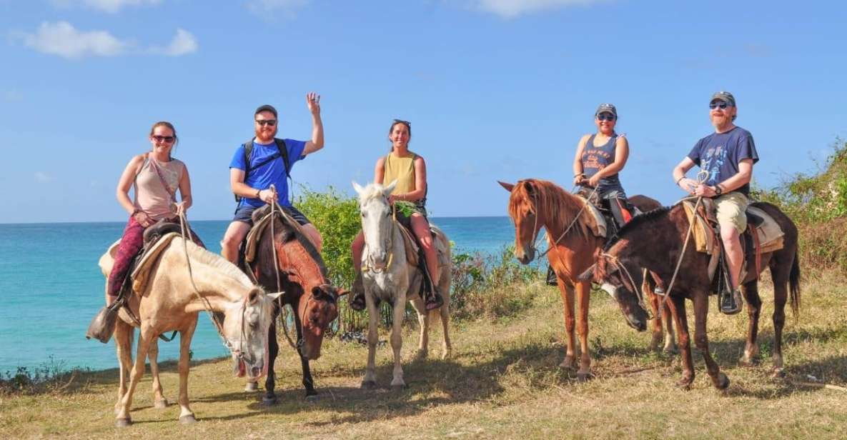 Punta Cana: 1 Hour of Horseback Riding With Hotel Pickup - Booking and Pricing Information