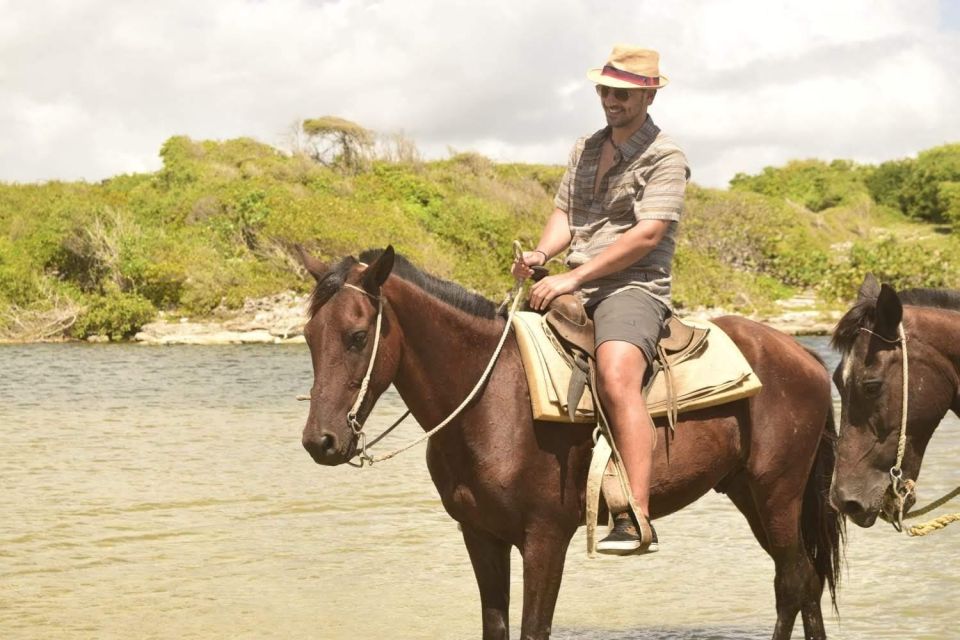 Punta Cana: 1 Hour of Horseback Riding With Hotel Pickup - Highlights and Suitability