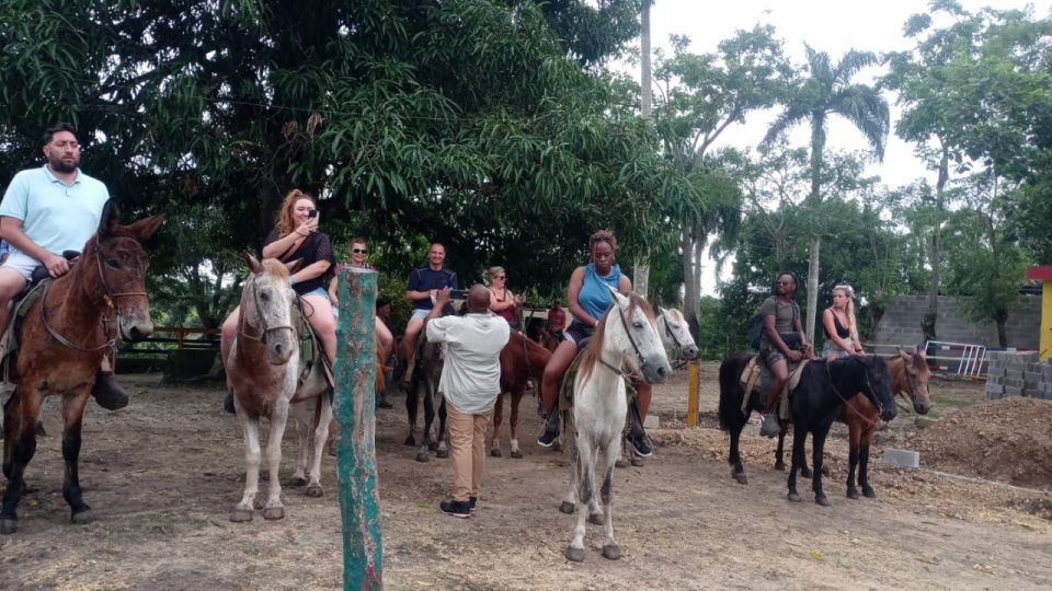 Punta Cana: 3-Hour ATV and Horseback Ride Adventure - ATV Ride Through Lush Landscapes