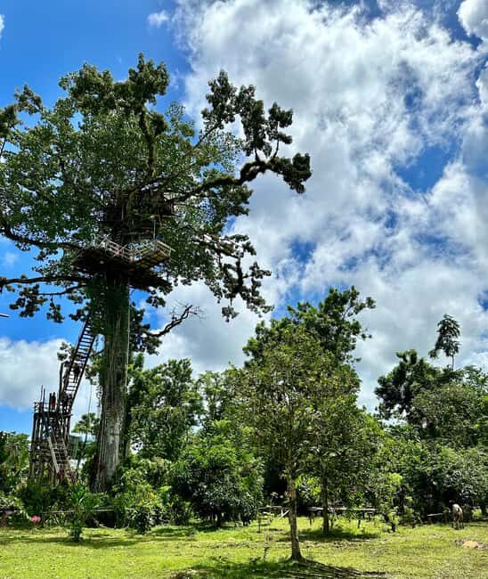 Punta Cana: 3-in-1 Adventure Haitises Park Waterfall Montaña - Authenticity and Reviewer Insights