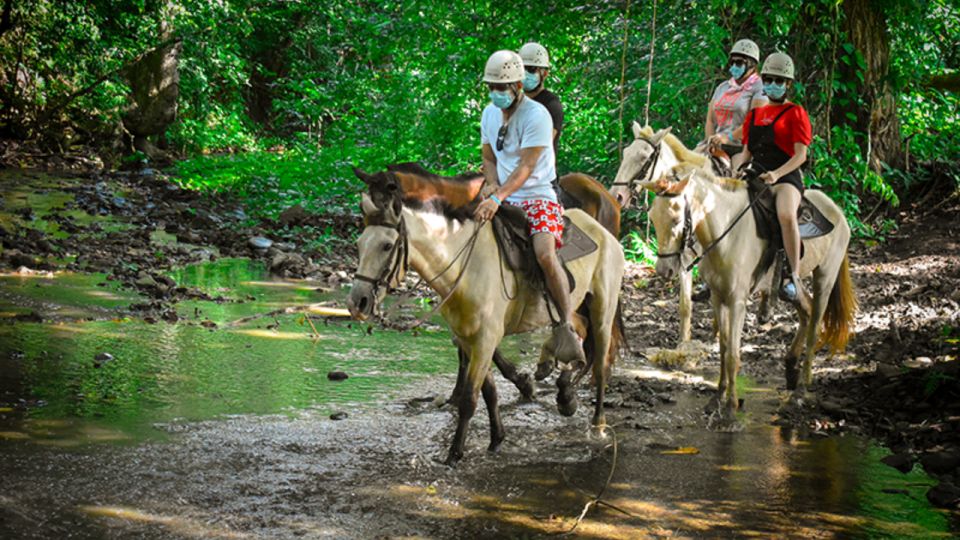 Punta Cana: 3 Tour Zip Line, Buggy and Horse Ride. - Pickup and Drop-off