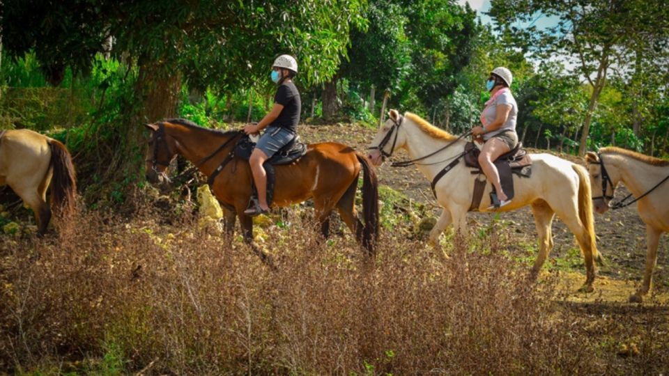 Punta Cana: 3 Tour Zip Line, Buggy and Horse Ride. - Frequently Asked Questions