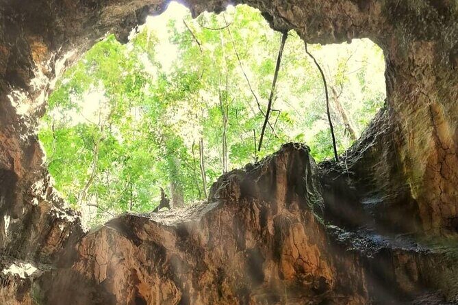 Punta Cana 3in1 Adventure: Los Haitises Park, Waterfall & Montaña - Who Will Love This Tour?