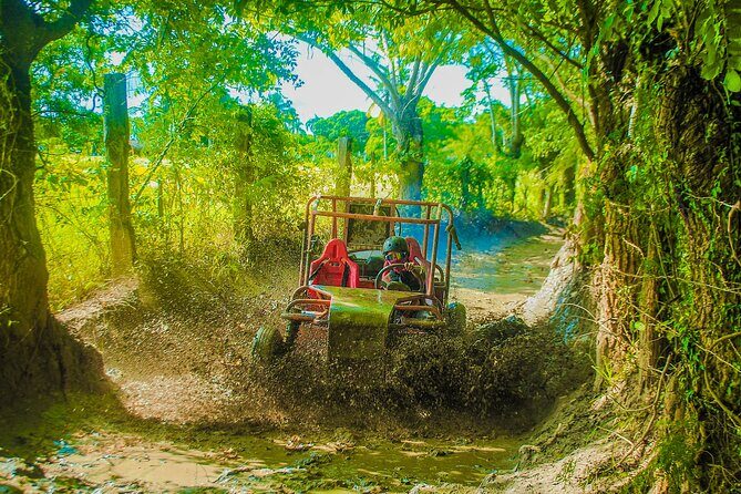 Punta Cana 4 Hours Buggy Tour Cave Macao Beach Free Pick Up - Final Thoughts