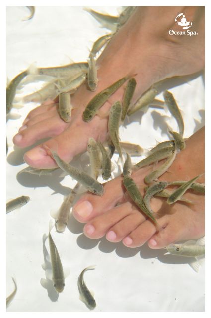 Punta Cana: Adult Only Excursion to the Only Floating Dayspa - Flexible Booking