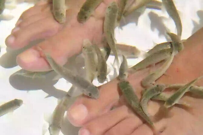 Punta Cana Adults Only Excursion to the only Floating Day Spa - FAQs