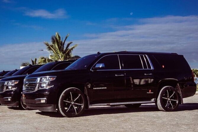 Punta Cana Airport *only*to ALL CAP CANA RESORTS (SUBURBAN) R/T - A Streamlined Arrival Experience