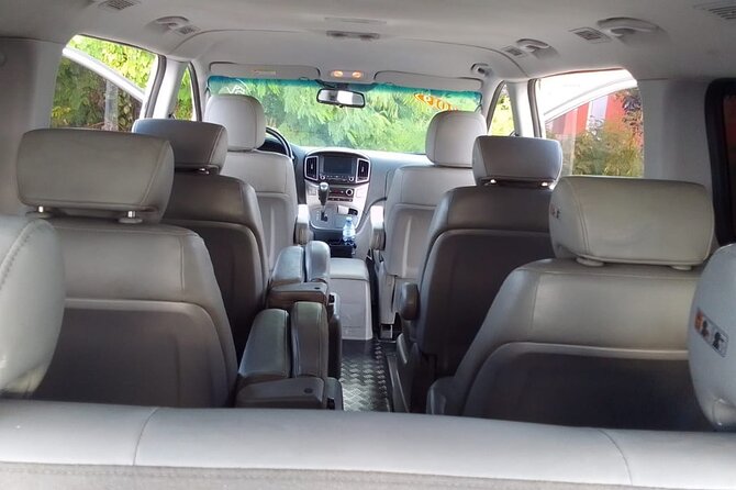 Punta Cana Airport PUJ Private Transfer to Hotels - Accessibility Features