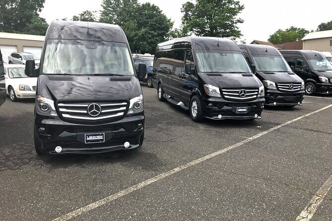 Punta Cana: Airport Transfers To Hotels For Group - Key Points