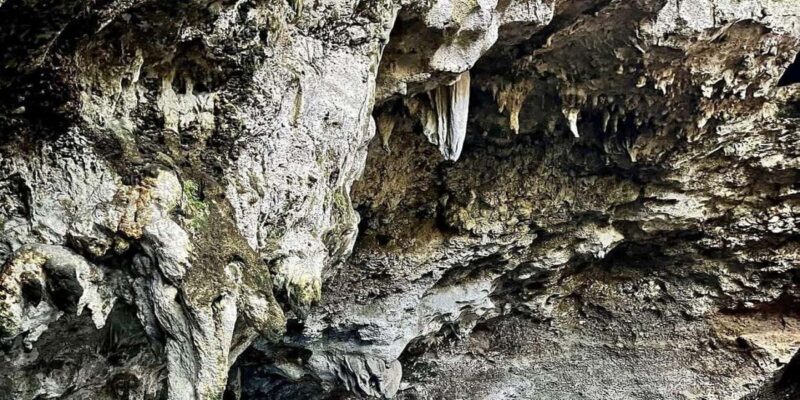 Punta Cana: All Inclusive Santo Domingo Full-Day City Tour - FAQ