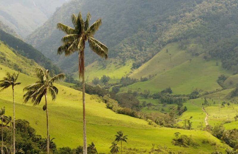 Punta Cana: Anamaya Mountains Walking Tour with Tasting - Exploring the Heart of the Dominican Outback