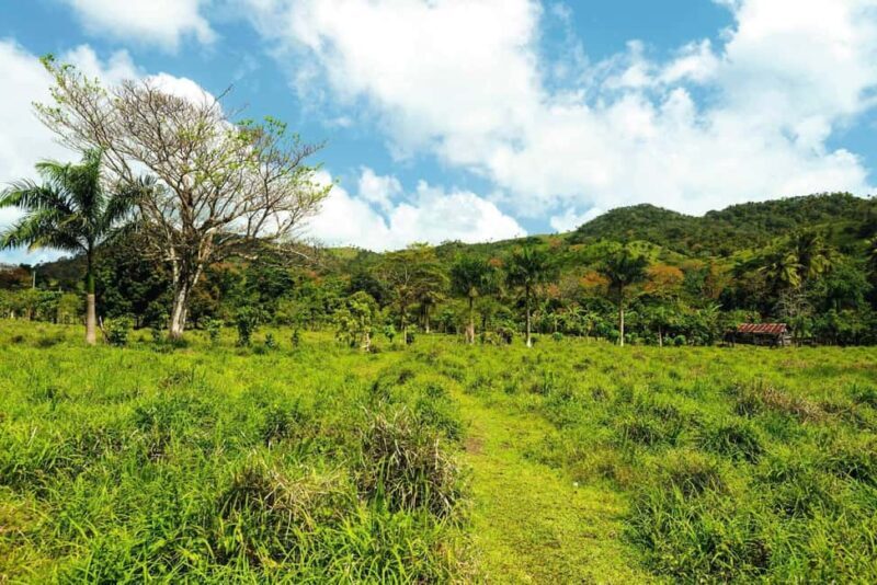 Punta Cana: Anamaya Mountains Walking Tour with Tasting - Who Should Consider This Tour?
