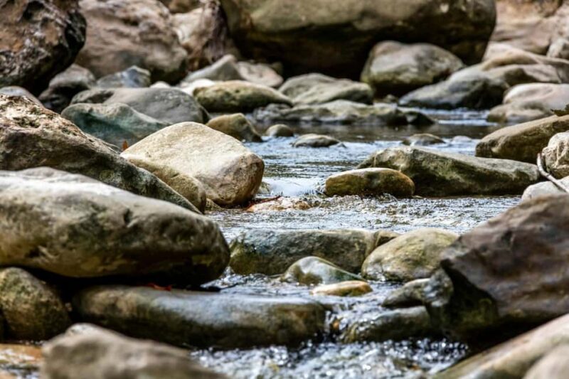 Punta Cana: Anamaya Mountains Walking Tour with Tasting - Final Thoughts: Is It Worth It?