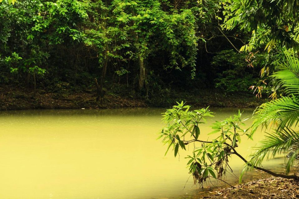 Punta Cana: Anamaya Mountains Walking Tour With Tasting - Exploring the Anamuya Mountains