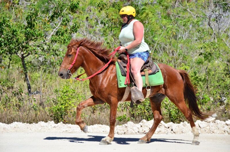 Punta Cana: Bávaro Adventure Park Horse Riding & Waterfalls - Key Points