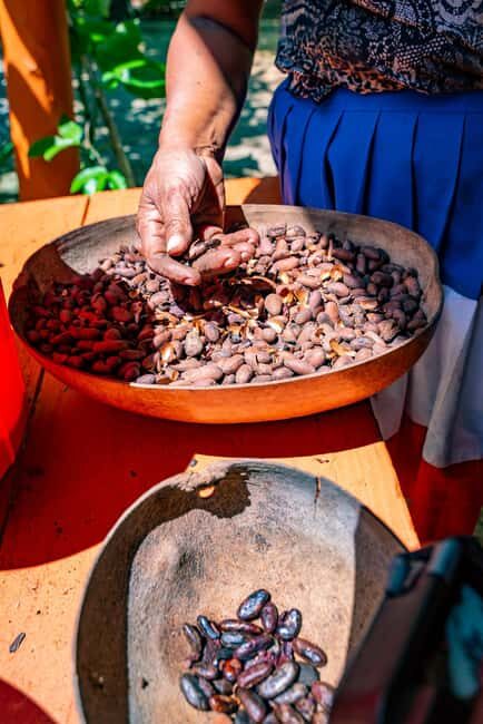 Punta Cana: Bavaro Runners Safari Tour - Concluding Thoughts