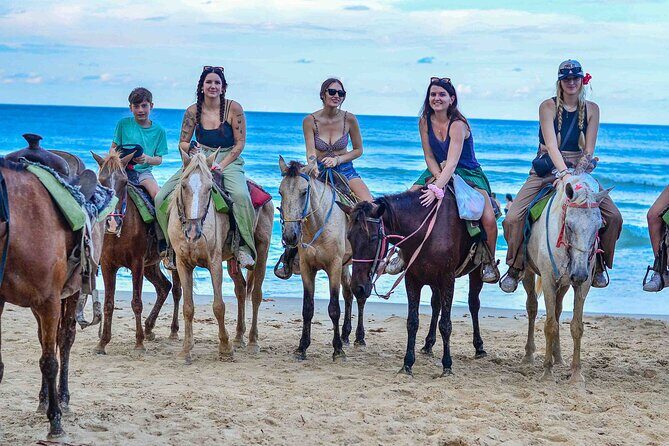 Punta Cana Beach Horseback Ride Paradise Coast Experience - Key Points