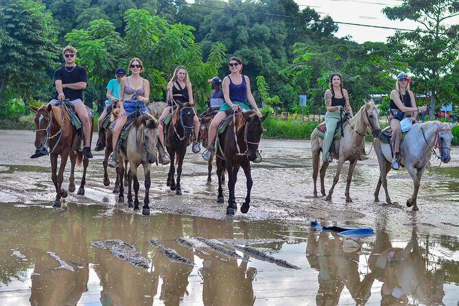 Punta Cana Beach Horseback Ride Paradise Coast Experience - An Easy Introduction to the Punta Cana Horseback Experience